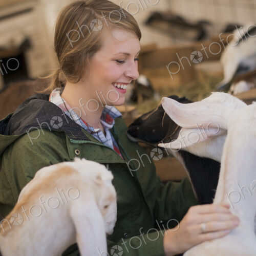 A woman in a stable on an organic farm. White and black goats. A woman in a stable on an organic farm. White and black goats.