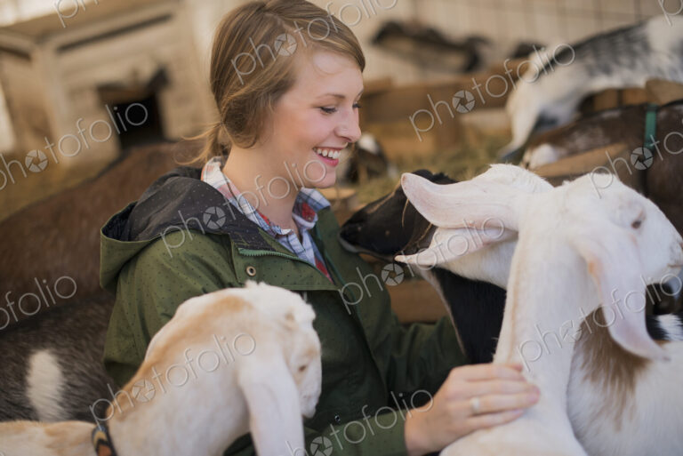 A woman in a stable on an organic farm. White and black goats.