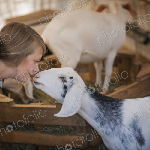 A woman in a stable on an organic farm. White and black goats. A woman in a stable on an organic farm. White and black goats.