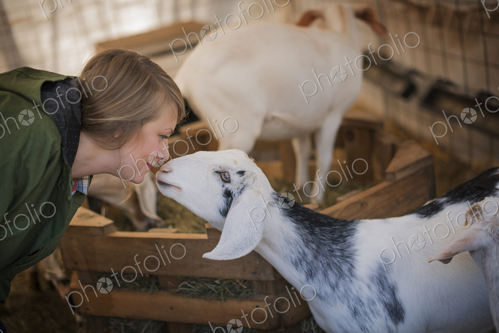 A woman in a stable on an organic farm. White and black goats.