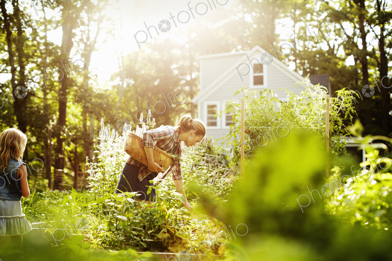 A woman picking vegetables in a garden at the end of the day. A child walking through…