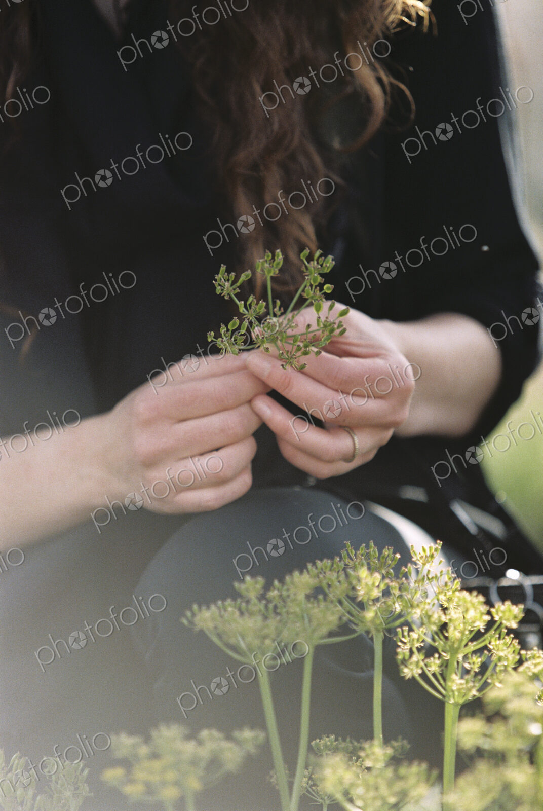 A woman picking wild flowers.