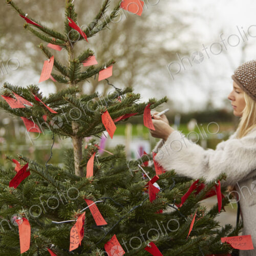 A woman reading handwritten red labels tied to the branches of a Christmas tree. A woman reading handwritten red labels tied to the branches of a Christmas tree.