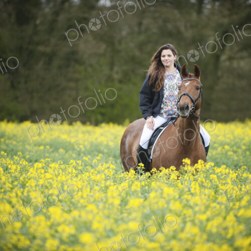 A woman riding on a brown horse through a flowering yellow mustard crop in a field.. A woman riding on a brown horse through a flowering yellow mustard crop in a field..