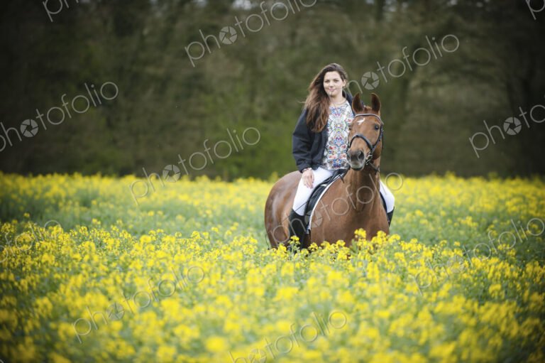 A woman riding on a brown horse through a flowering yellow mustard crop in a field..
