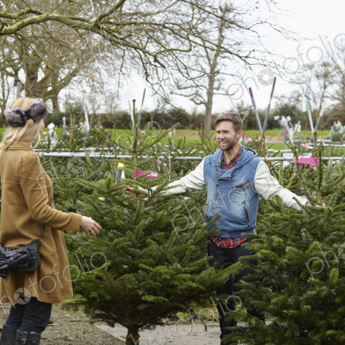 A woman shopping for a Christmas tree, assisted by staff. A woman shopping for a Christmas tree, assisted by staff.