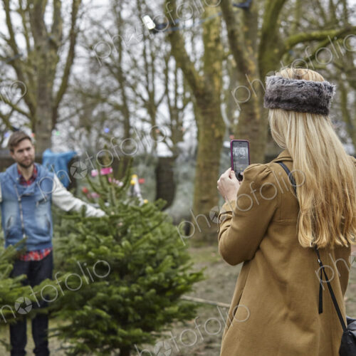 A woman shopping for a Christmas tree, assisted by staff. A woman shopping for a Christmas tree, assisted by staff.