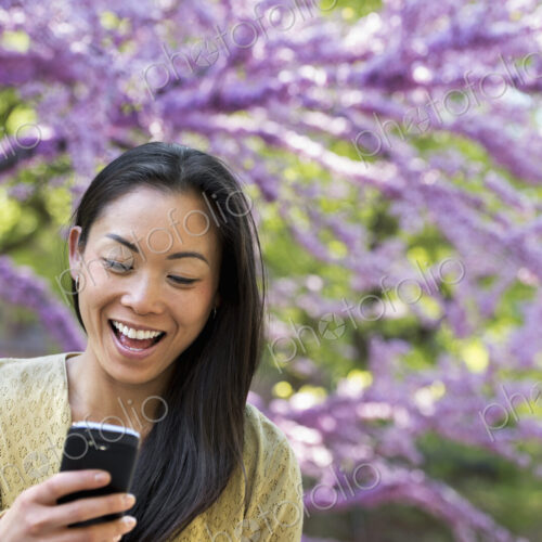 A woman sitting in a park under a tree with pink blossom. Looking at her smart phone… A woman sitting in a park under a tree with pink blossom. Looking at her smart phone…