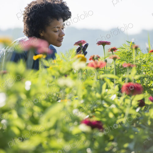 A woman standing among the flowers growing in the fields. A woman standing among the flowers growing in the fields.