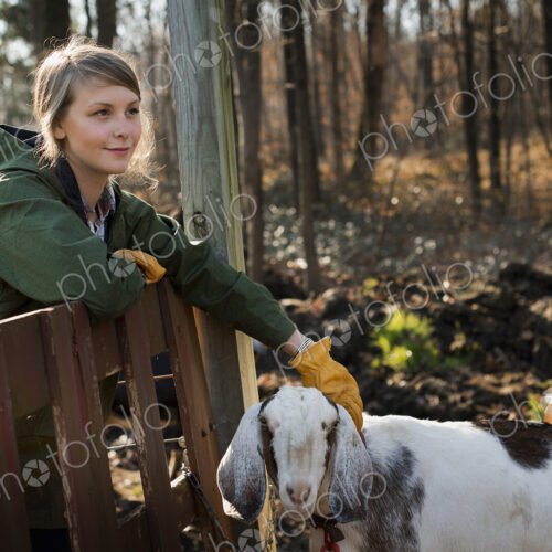 A woman standing in a paddock with a flock of goats, on an organic dairy farm. A woman standing in a paddock with a flock of goats, on an organic dairy farm.