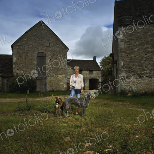 A woman standing in shadow in a farmyard with two large lurcher dogs. A woman standing in shadow in a farmyard with two large lurcher dogs.
