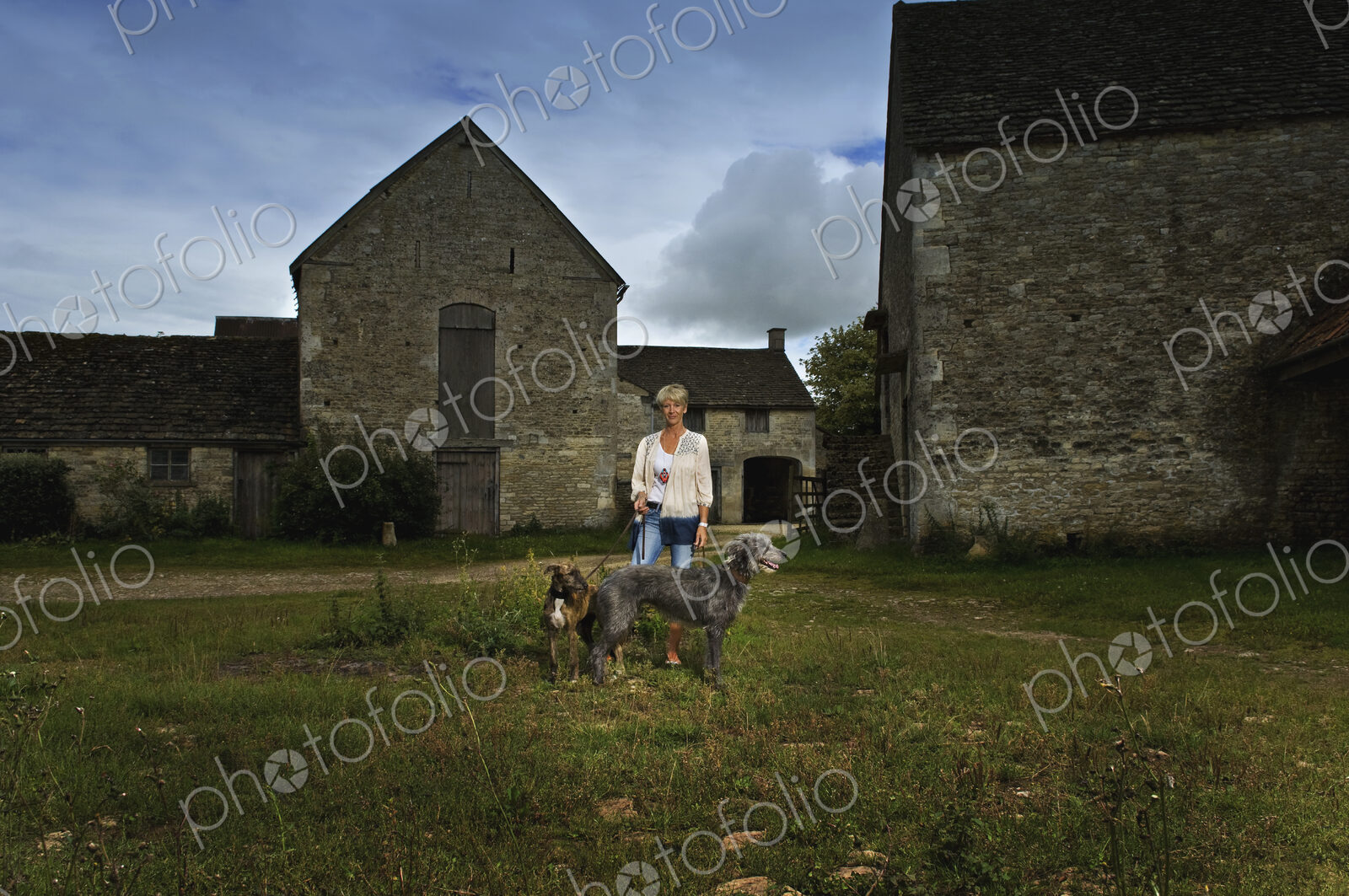 A woman standing in shadow in a farmyard with two large lurcher dogs.