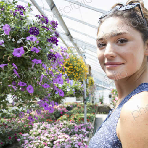 A woman standing surrounded by flowering plants in a commercial greenhouse. A woman standing surrounded by flowering plants in a commercial greenhouse.