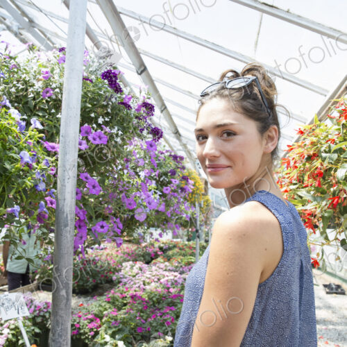 A woman standing surrounded by flowering plants in a commercial greenhouse. A woman standing surrounded by flowering plants in a commercial greenhouse.