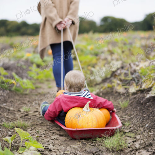 A woman towing a small red sledge with a child and a load of pumpkins.