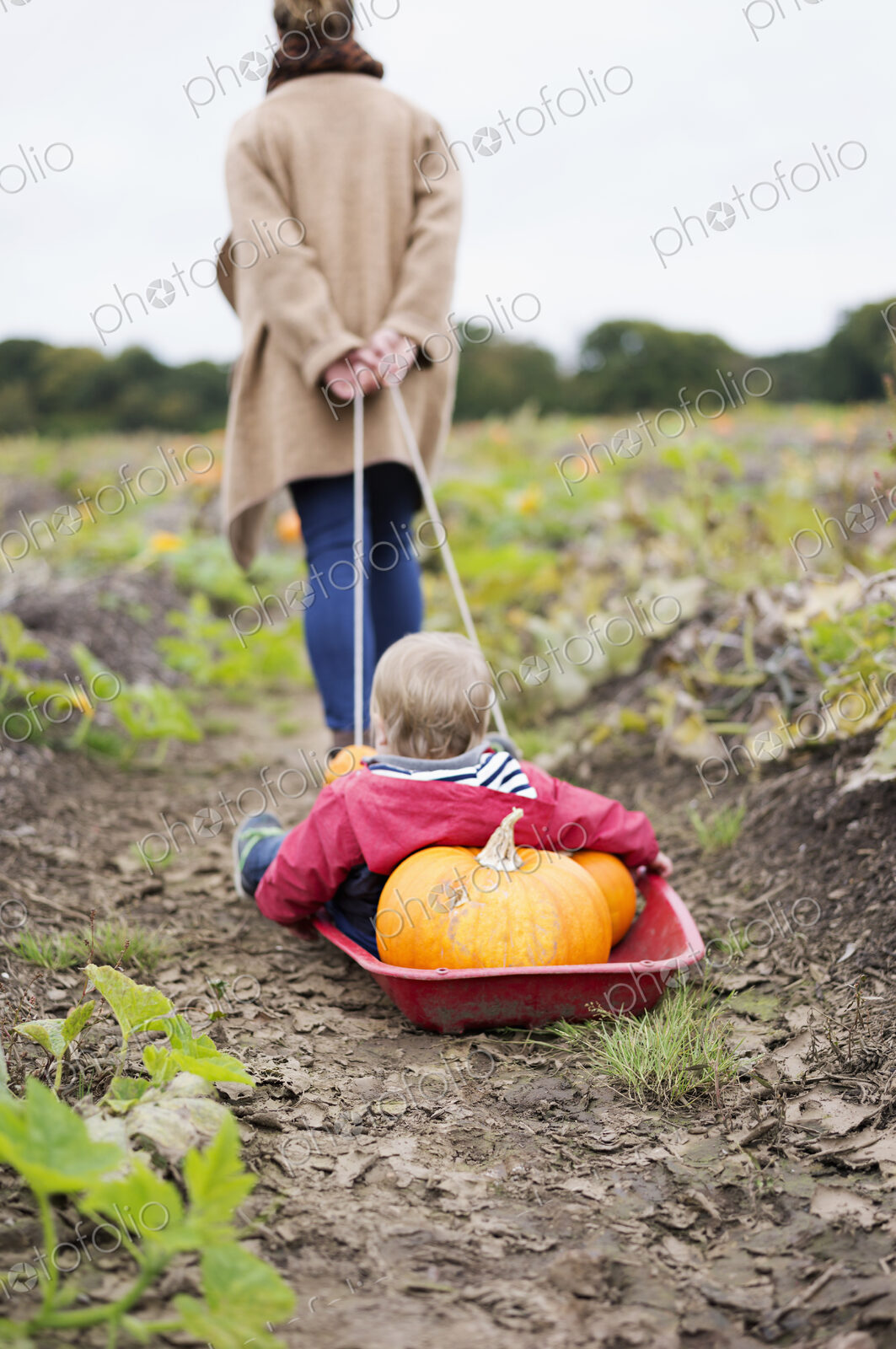 A woman towing a small red sledge with a child and a load of pumpkins.