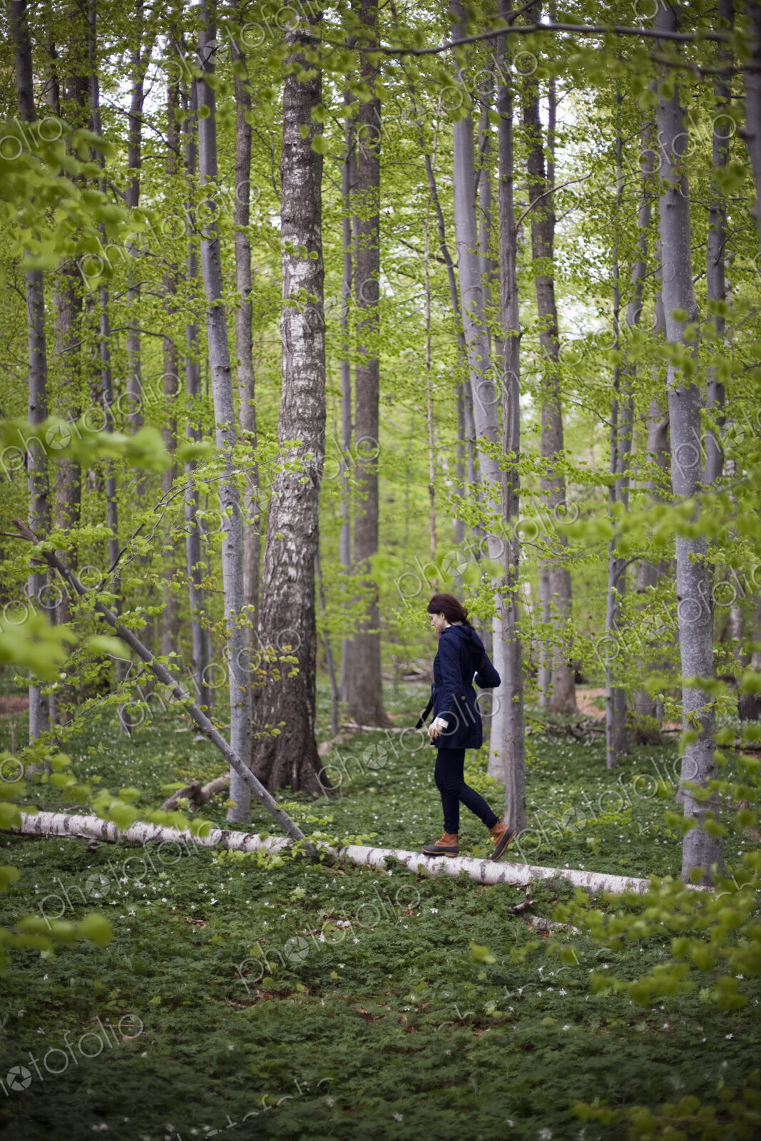 A woman walking along a fallen tree trunk in the woods. Balancing on the narrow piece…