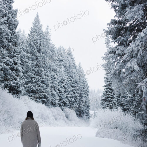 A woman walking in snow through a pine forest. A woman walking in snow through a pine forest.