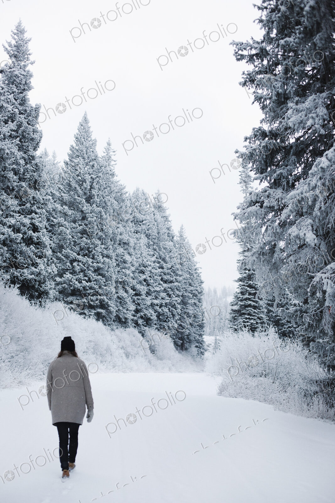 A woman walking in snow through a pine forest.