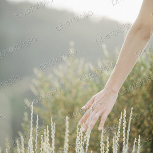 A woman walking through long grass trailing her hand through the stems. A woman walking through long grass trailing her hand through the stems.