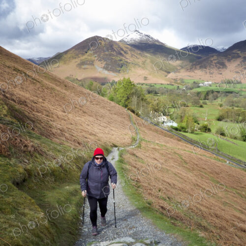 A woman walking up a path on a hillside in the Lake District with a trekking pole. A woman walking up a path on a hillside in the Lake District with a trekking pole.