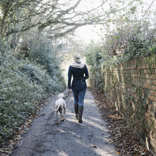 A woman walking with a dog on a country lane. A woman walking with a dog on a country lane.