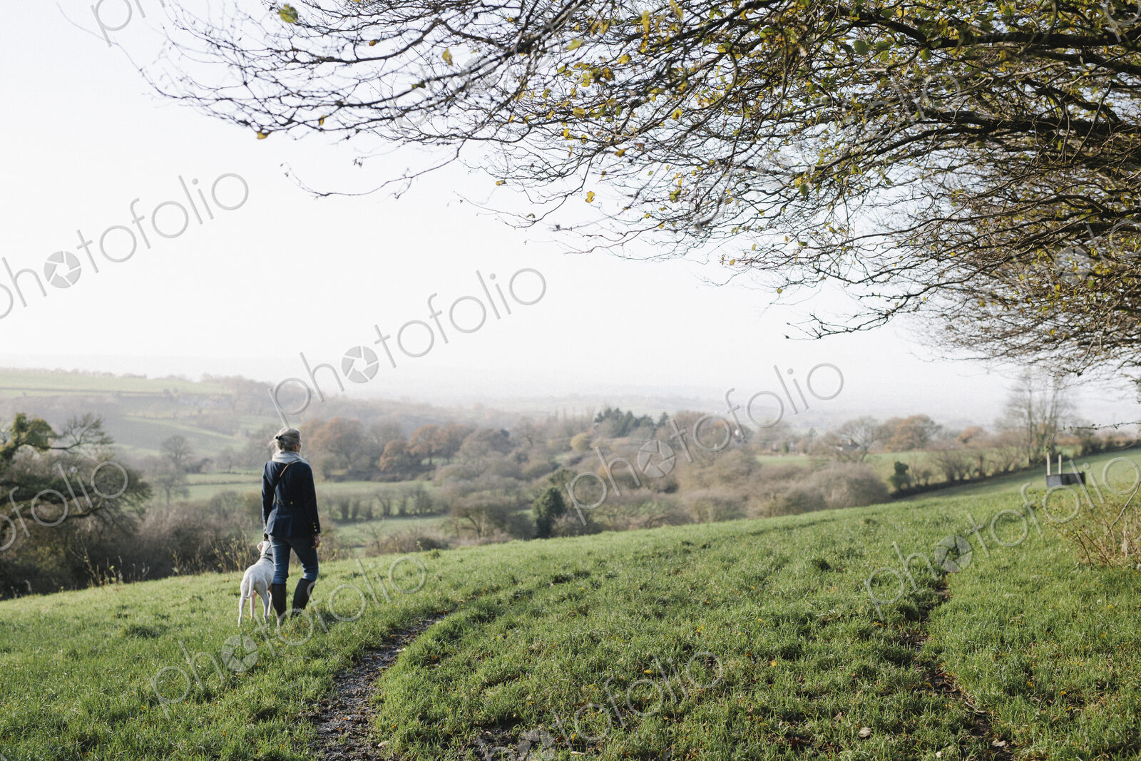 A woman walking with a dog on high ground overlooking the countryside.