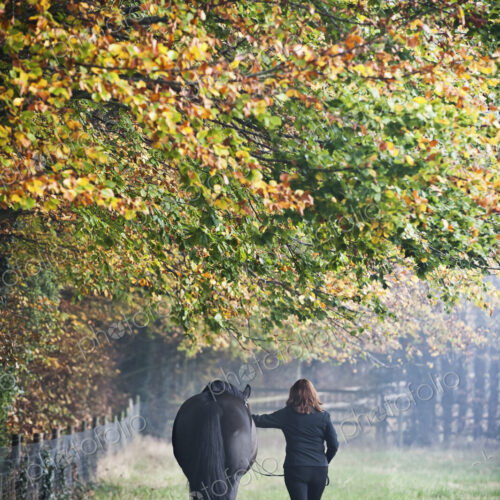 A woman walking with a horse in an autumn meadow. A woman walking with a horse in an autumn meadow.
