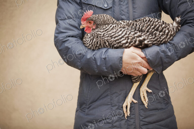 A woman wearing a grey coat and holding a chicken.