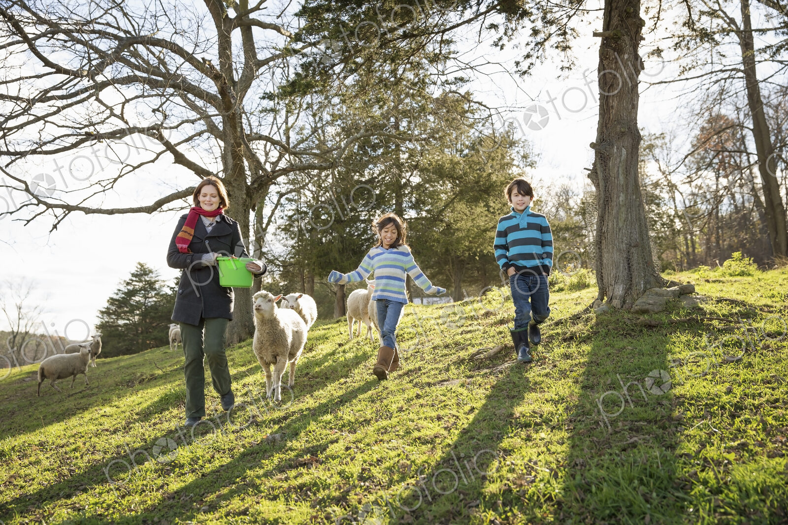 A woman with a bucket feeding the sheep at an animal sanctuary. Two children in the field.
