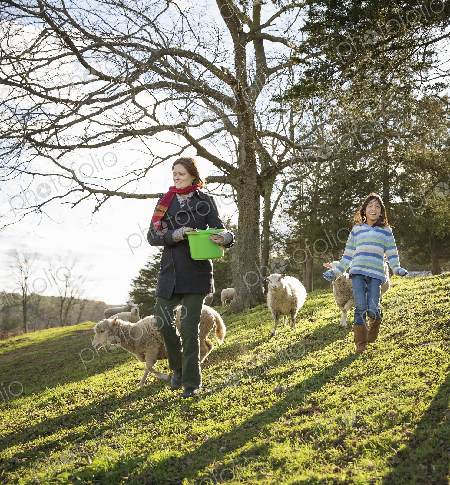 A woman with a bucket feeding the sheep at an animal sanctuary. Two children in the field.