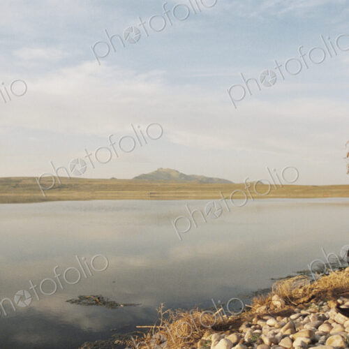 A woman with curly hair standing on the shore of a lake.