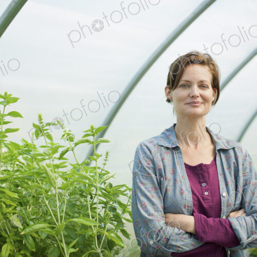 A woman working at an organic farm, in the greenhouse or polytunnel. A woman working at an organic farm, in the greenhouse or polytunnel.