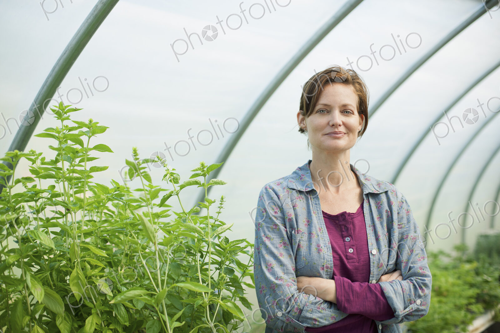 A woman working at an organic farm, in the greenhouse or polytunnel.