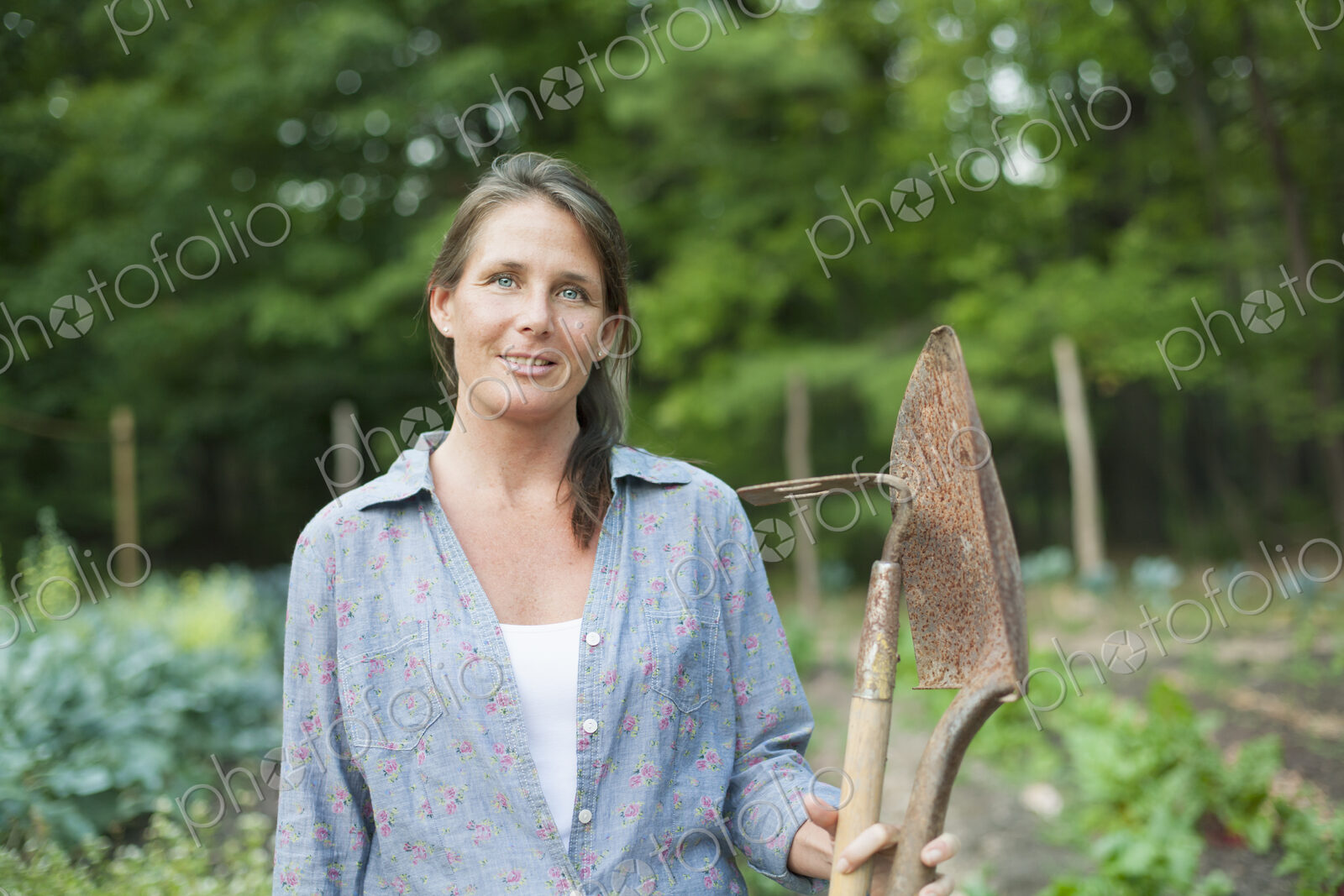 A woman working in an organic garden, standing among the vegetable crops. Holding a…