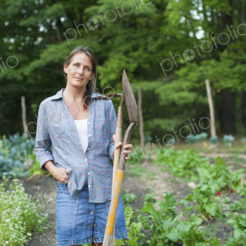 A woman working in an organic garden, standing among the vegetable crops. Holding a… A woman working in an organic garden, standing among the vegetable crops. Holding a…