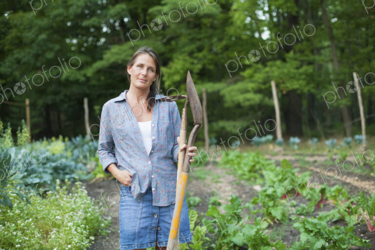 A woman working in an organic garden, standing among the vegetable crops. Holding a…
