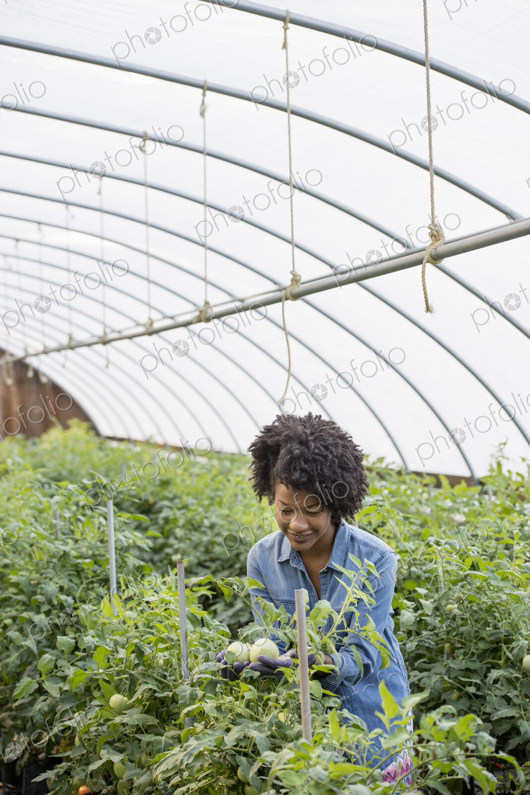 A woman working in the glasshouse, tending plants on a greenhouse bench.