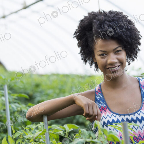 A woman working in the glasshouse, tending plants on a greenhouse bench. A woman working in the glasshouse, tending plants on a greenhouse bench.