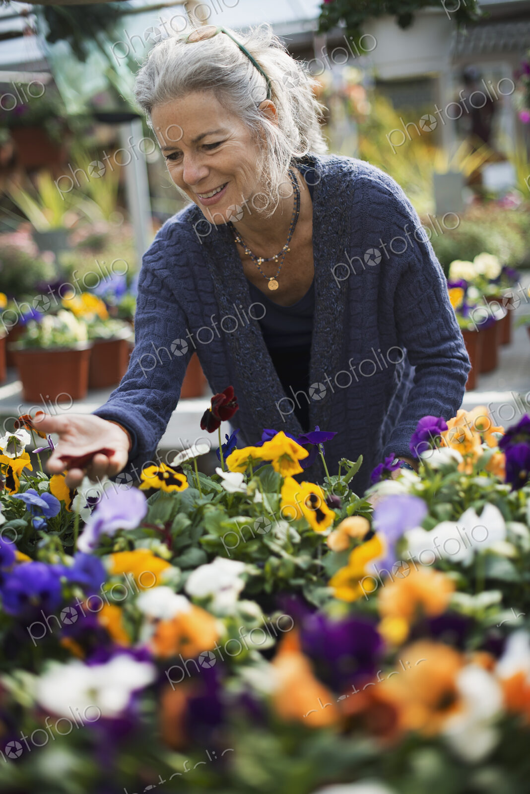 A woman working tending flowering plants on a workbench in a bin a glass house.