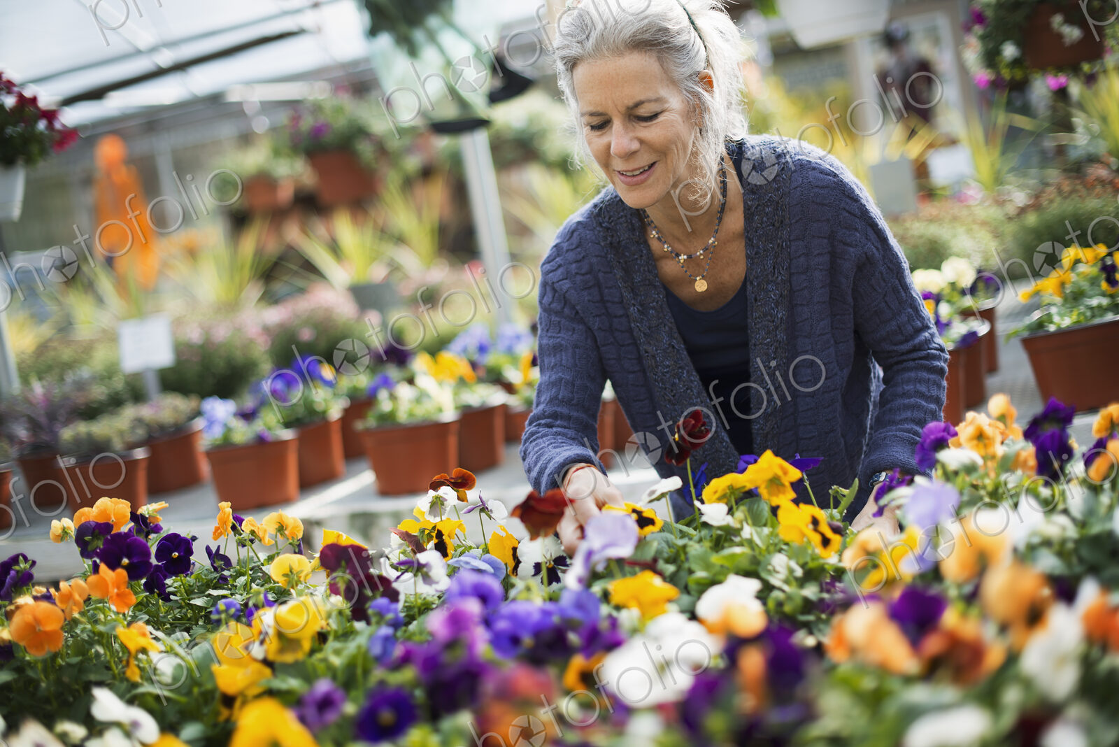 A woman working tending flowering plants on a workbench in a bin a glass house.