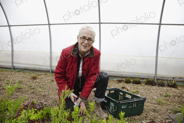 A woman working with plants in a large polytunnel in a commercial plant nursery.