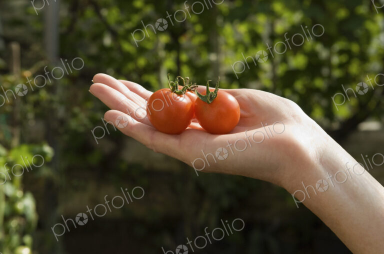 A woman's hand held out holding two fresh red tomatoes.