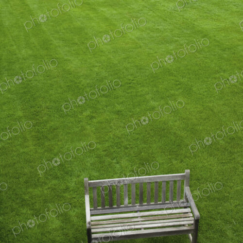 A wooden bench on a grass lawn.