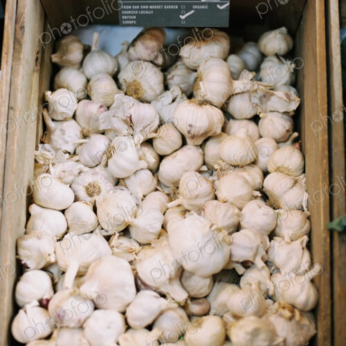 A wooden crate of garlic bulbs. A wooden crate of garlic bulbs.