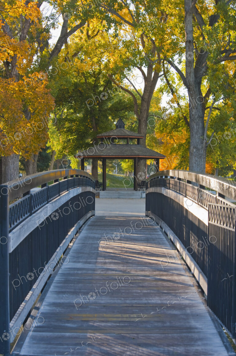 A wooden footbridge among trees, autumn colours in a park