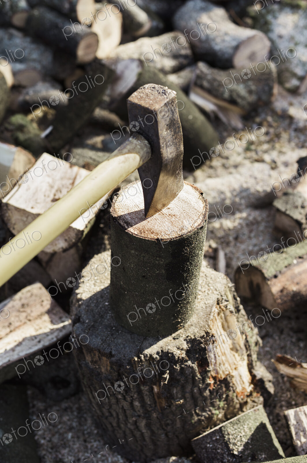A woodpile, a stack of logs and an axe wedged in a log.