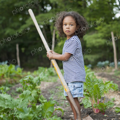 A young African American boy holding a long handled space, working in an organic… A young African American boy holding a long handled space, working in an organic…