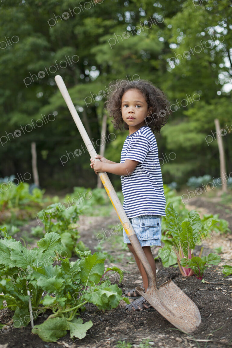 A young African American boy holding a long handled space, working in an organic…