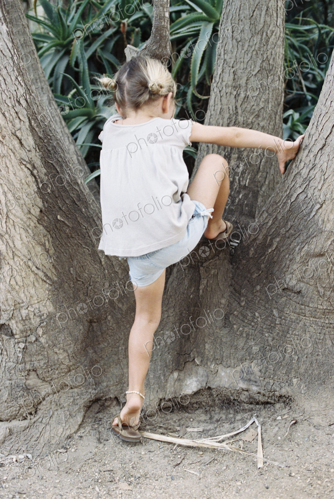 A young blond haired girl climbing a tree.